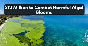 $12 Million to Combat Harmful Algal Blooms
